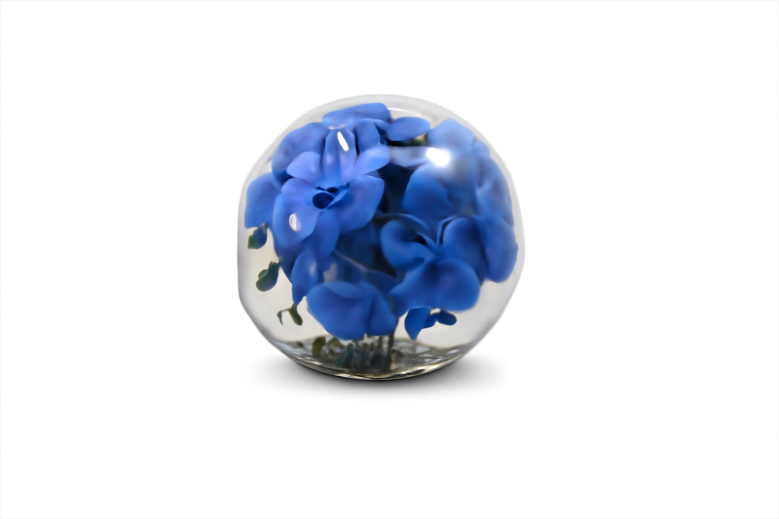 Vase 30cm avec orchidées bleues