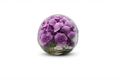 Vase 30cm avec orchidées violettes