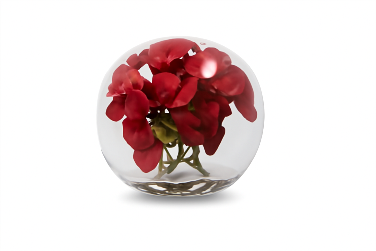 Vase 30cm avec orchidées rouges