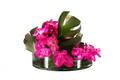Coupe 40 cm avec feuille de Monstera et orchidées fuchsia