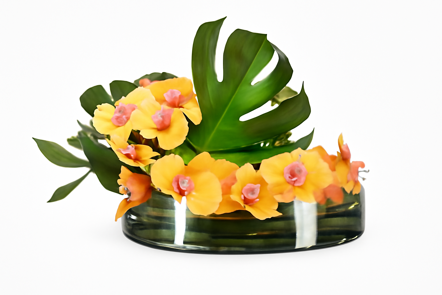 Coupe 40 cm avec feuille de Monstera et orchidées mangue