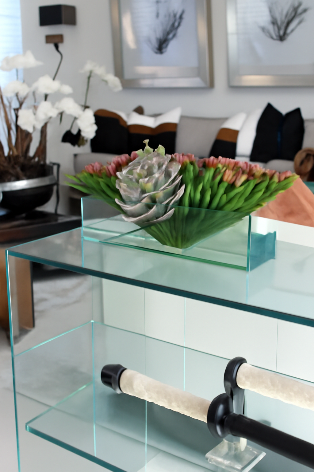 Cache-pot en verre plat 50 cm avec variétés de succulentes