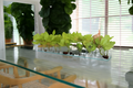 Cache-pot en verre plat 90 cm avec orchidées vertes