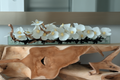 Cache-pot en verre plat 90 cm avec orchidées blanches