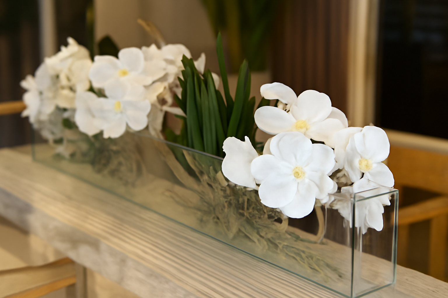 Cache-pot fin 36" orchidées Vanda blanches