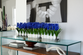 Cache-pot en verre plat 120 cm avec jacinthes bleues