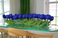 Cache-pot en verre plat 120 cm avec tulipes bleues