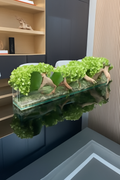 Cache-pot en verre plat 120 cm avec fleurs vertes et bois flotté