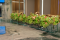 Cache-pot en verre plat 120 cm avec orchidées vertes