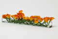 Cache-pot en verre plat 120 cm avec callas mangue