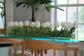 Cache-pot en verre plat 120 cm avec tulipes blanches