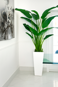 Plante décorative 2,1 m avec cache-pot