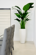 Plante décorative 2,1 m avec grand cache-pot