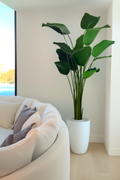 Plante décorative 2,7 m avec cache-pot blanc