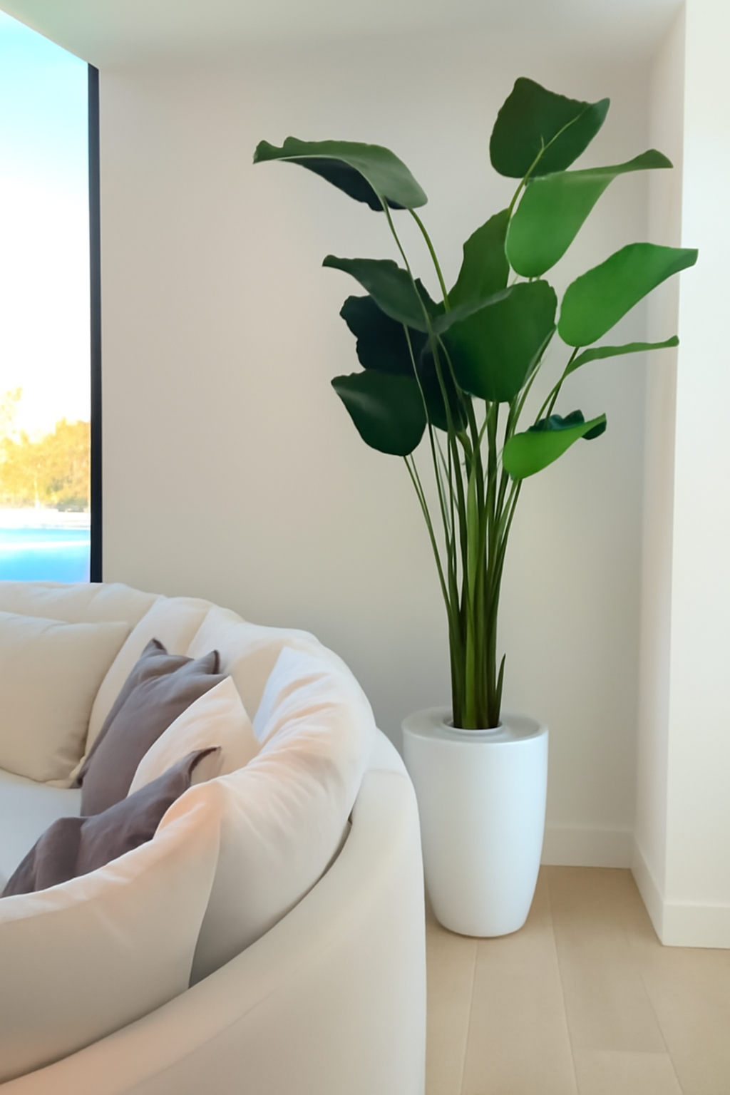 Plante décorative 2,7 m avec cache-pot blanc