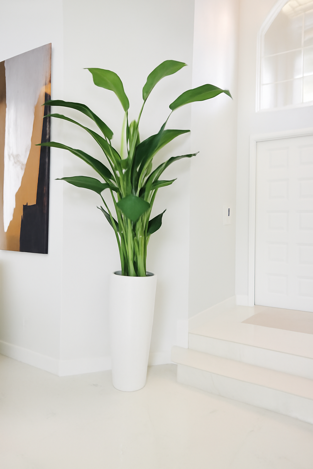 Plante décorative 2,7 m avec grand cache-pot blanc brillant