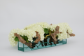 Cache-pot en verre plat avec fleurs et bois flotté