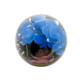 Vase avec orchidées bleues et palmier