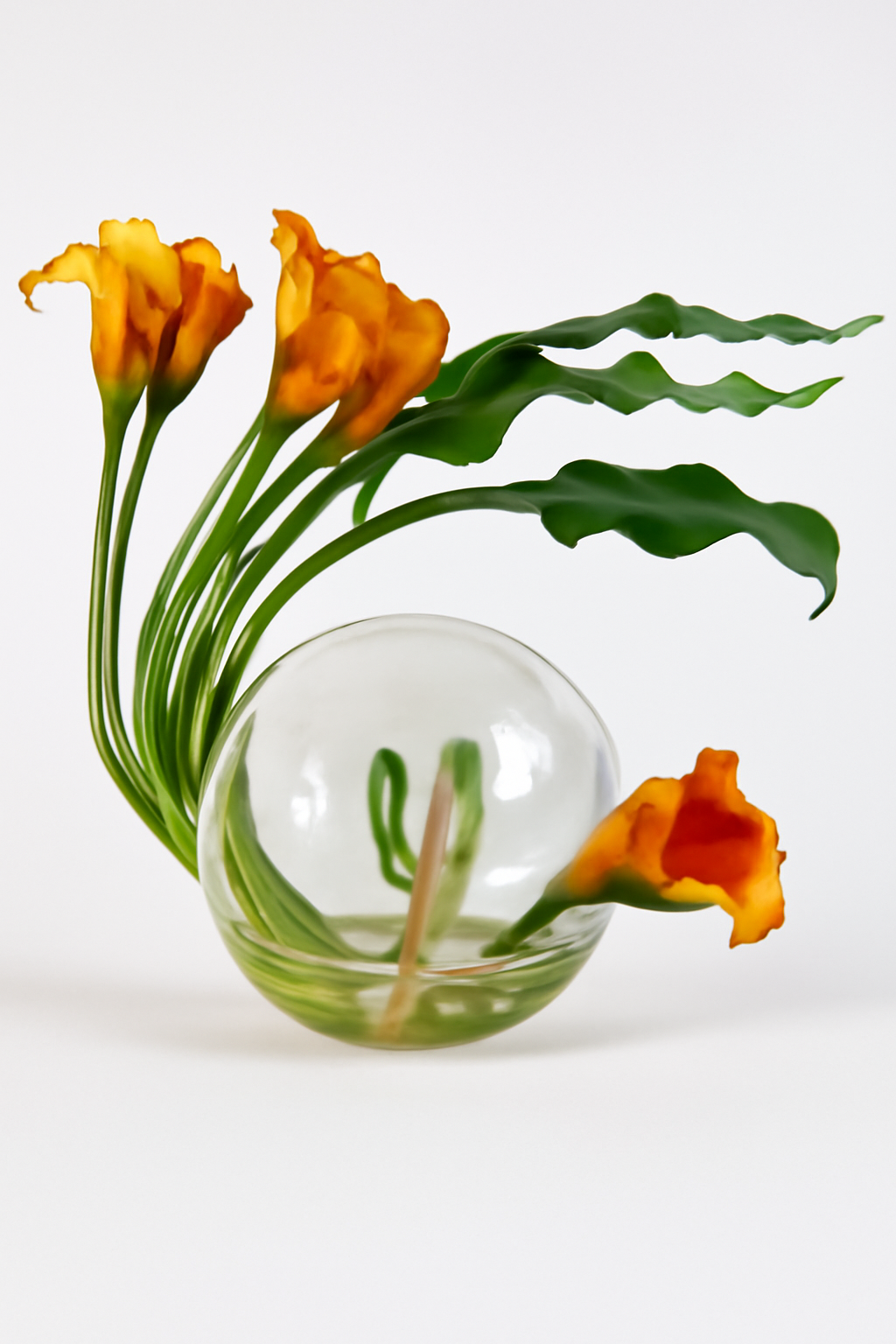 Vase avec callas mangue