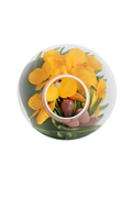 Vase avec orchidées jaunes et palmier