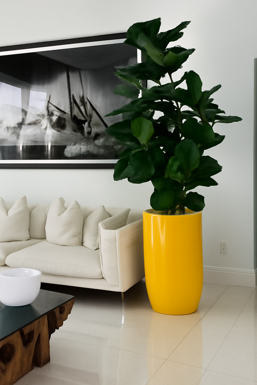 Ficus avec cache-pot jaune brillant