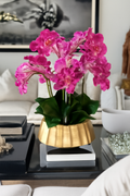 Cache-pot bateau avec orchidées Phalaenopsis roses