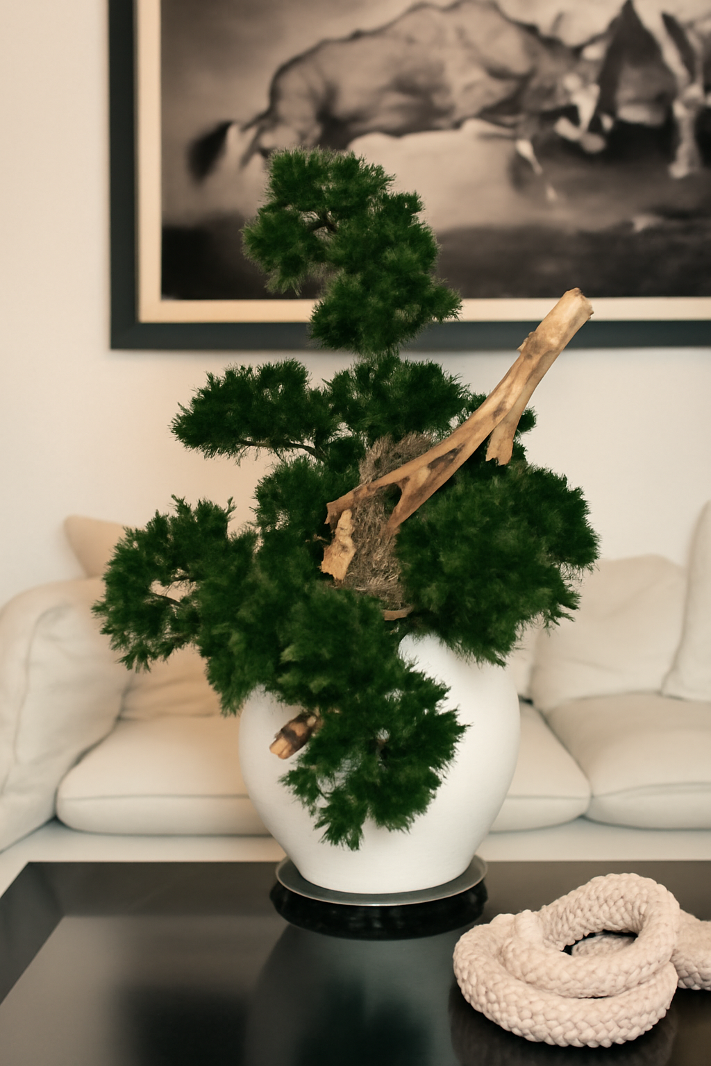 Vase avec plante style semi-cascade