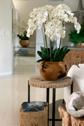 Coupe en teck avec orchidées blanches
