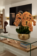 Orchidées brun clair dans coupe Roberi dorée