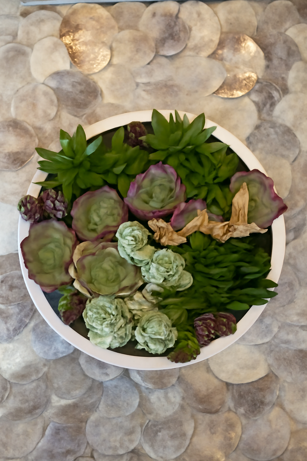 Coupe avec succulentes mélangées