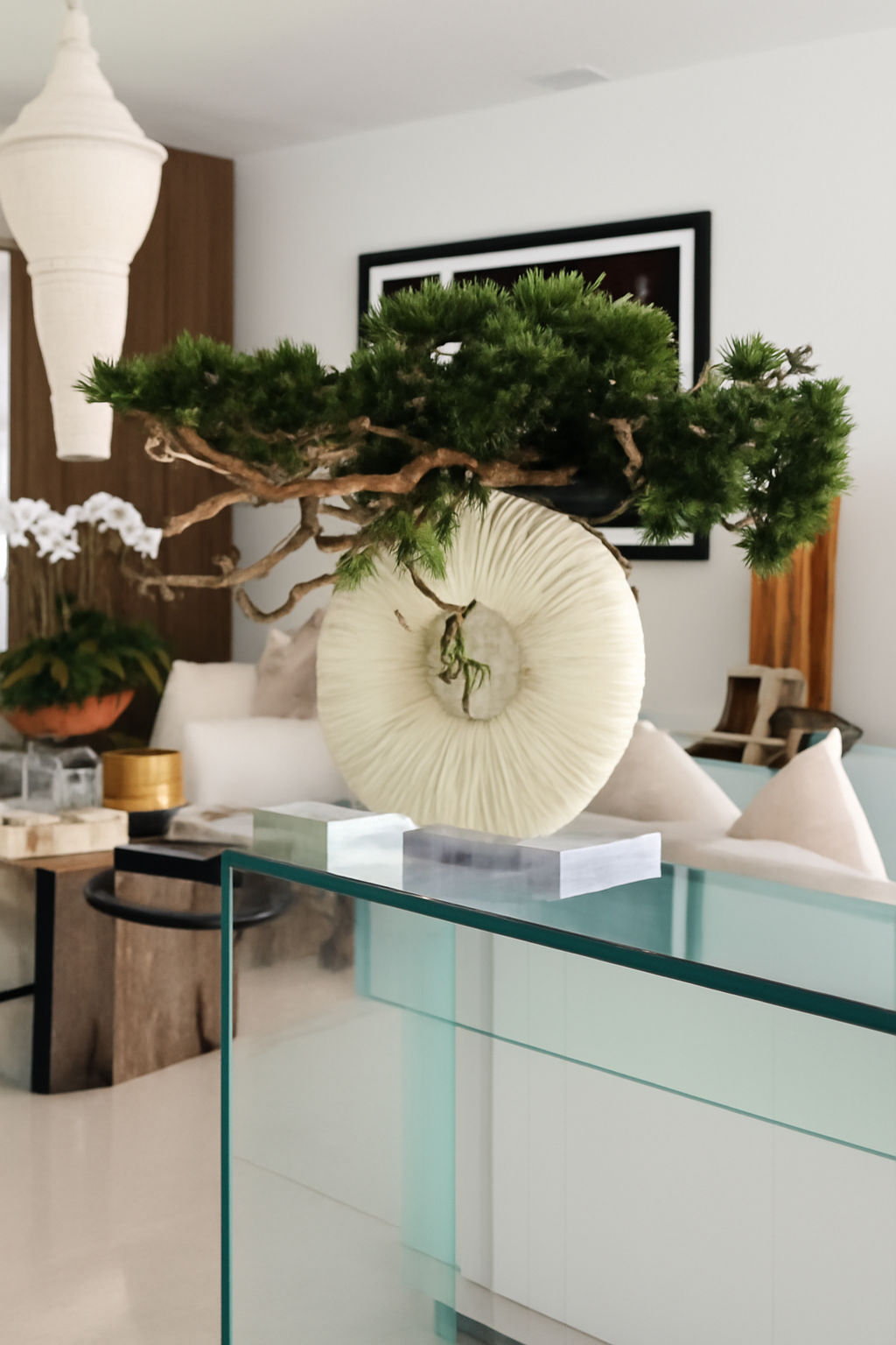 Vase moyen avec plante retombante et bois flotté