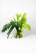 Vase lune avec cymbidiums verts et callas