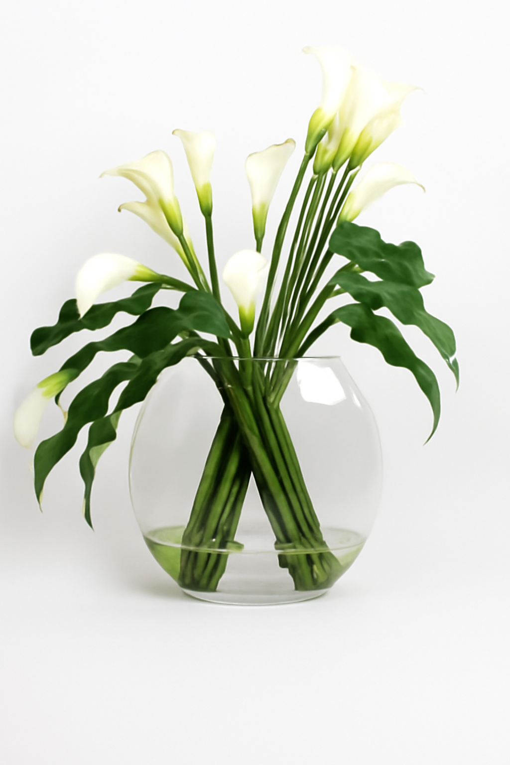 Vase lune avec callas blanches