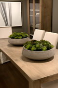 Coupe XL avec succulentes
