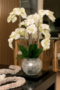 Orchidées dans vase miroir craquelé