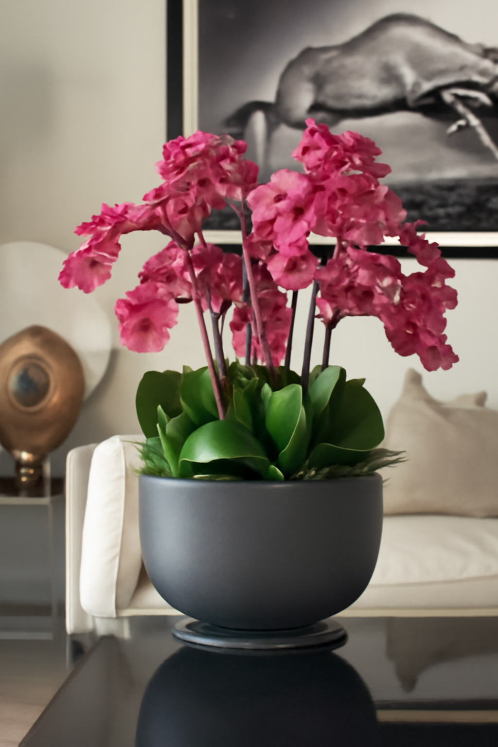 Orchidées rose fuchsia dans coupe en pierre composite gris brillant