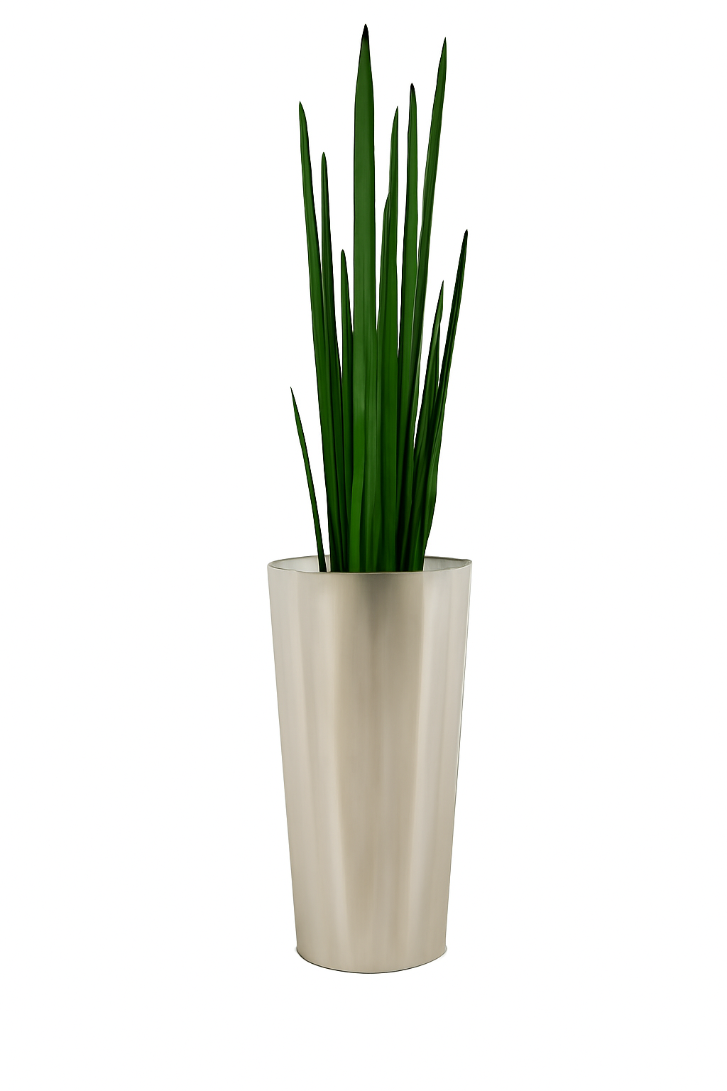 Herbe serpent 120 cm avec cache-pot métallique