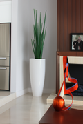 Herbe serpent 160 cm avec grand cache-pot blanc