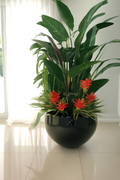 Plantes tropicales mélangées dans cache-pot noir Terragona