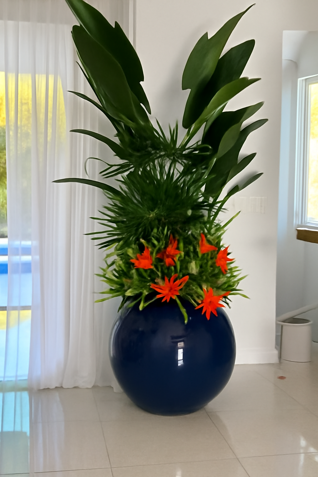 Plantes tropicales mélangées dans cache-pot globe bleu cobalt