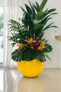 Plantes tropicales mélangées dans cache-pot globe jaune