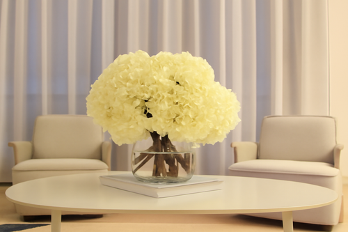 Bouquet d'hortensias blancs dans vase en verre transparent