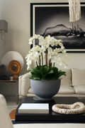 Orchidées blanches dans coupe en pierre composite gris brillant