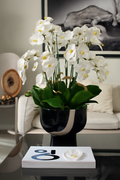 Orchidées blanches dans coupe Kempff