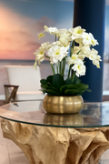 Orchidées blanches dans coupe en métal doré