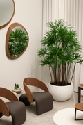 Cache-pot blanc rhapis