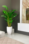 Plante décorative très grande dans cache-pot blanc en fibre de verre
